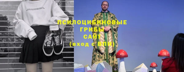 хмурый Лагань