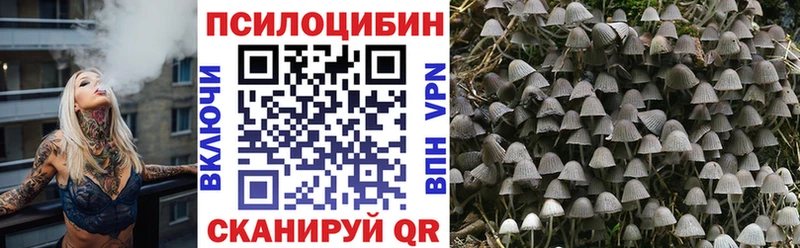 Галлюциногенные грибы GOLDEN TEACHER  купить  сайты  Нижнеудинск 