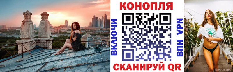 Канабис марихуана купить наркотики сайты Нижнеудинск